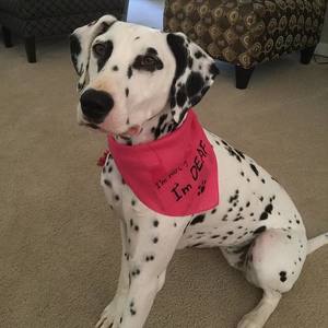 Fundraising Page: Joann Keyton